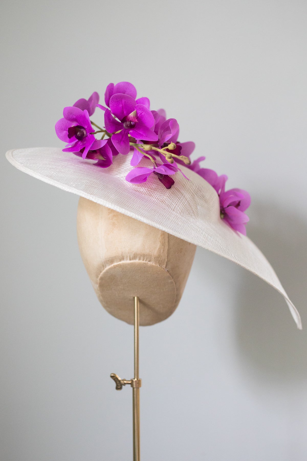 Ascot Orchid