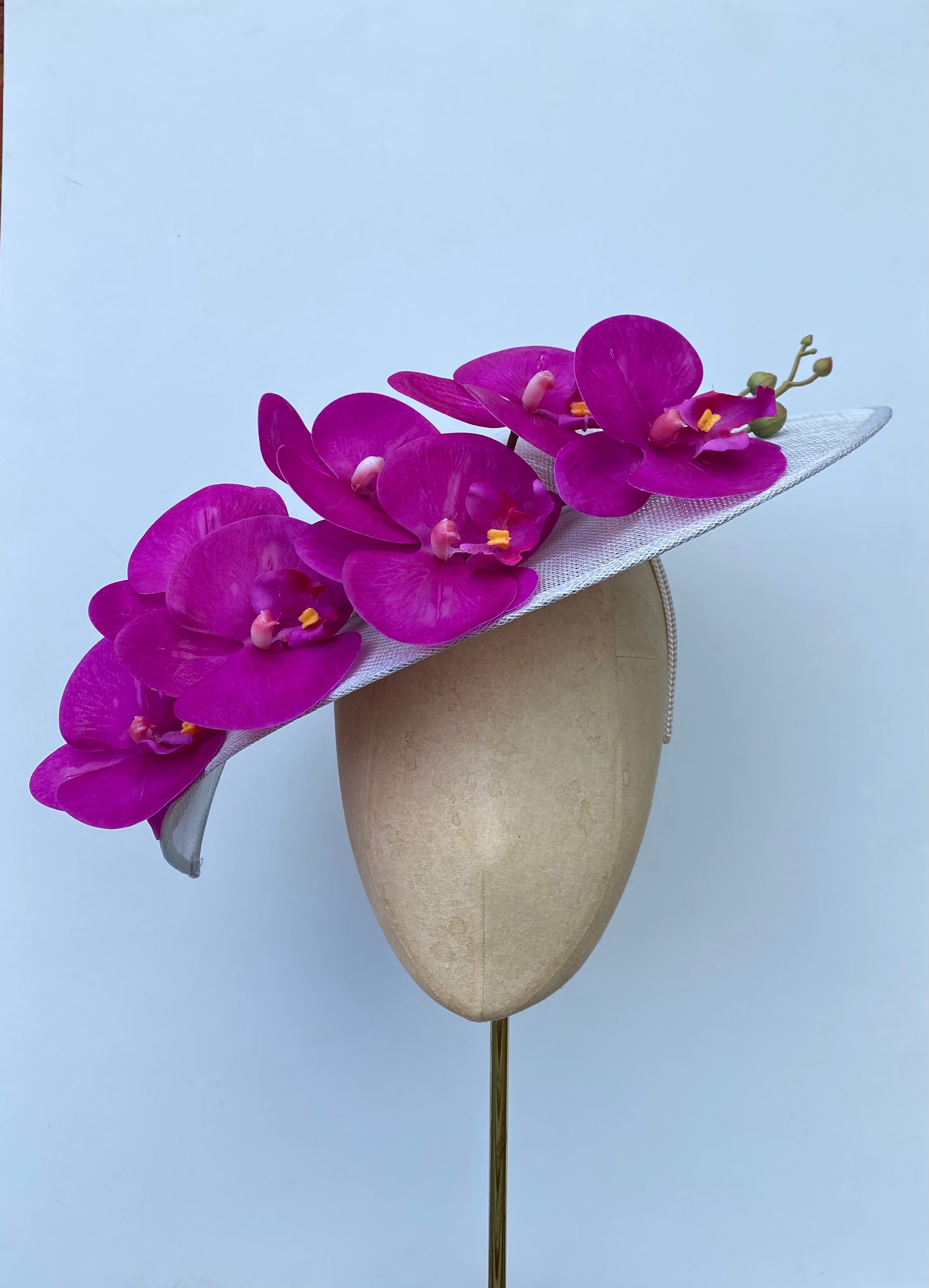 Fuchsia Orchid