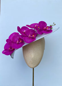 Fuchsia Orchid