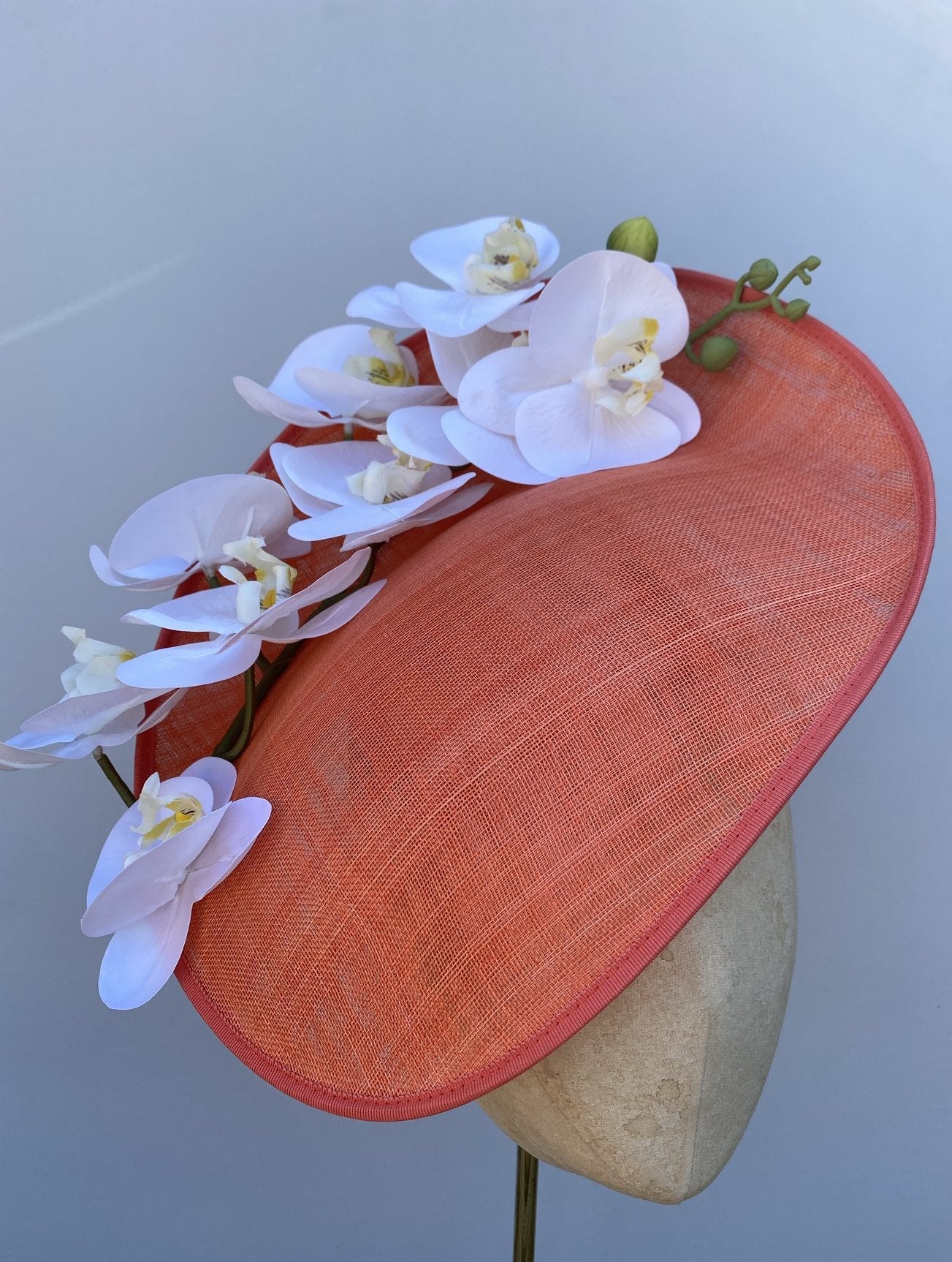 Sorbet Orchid