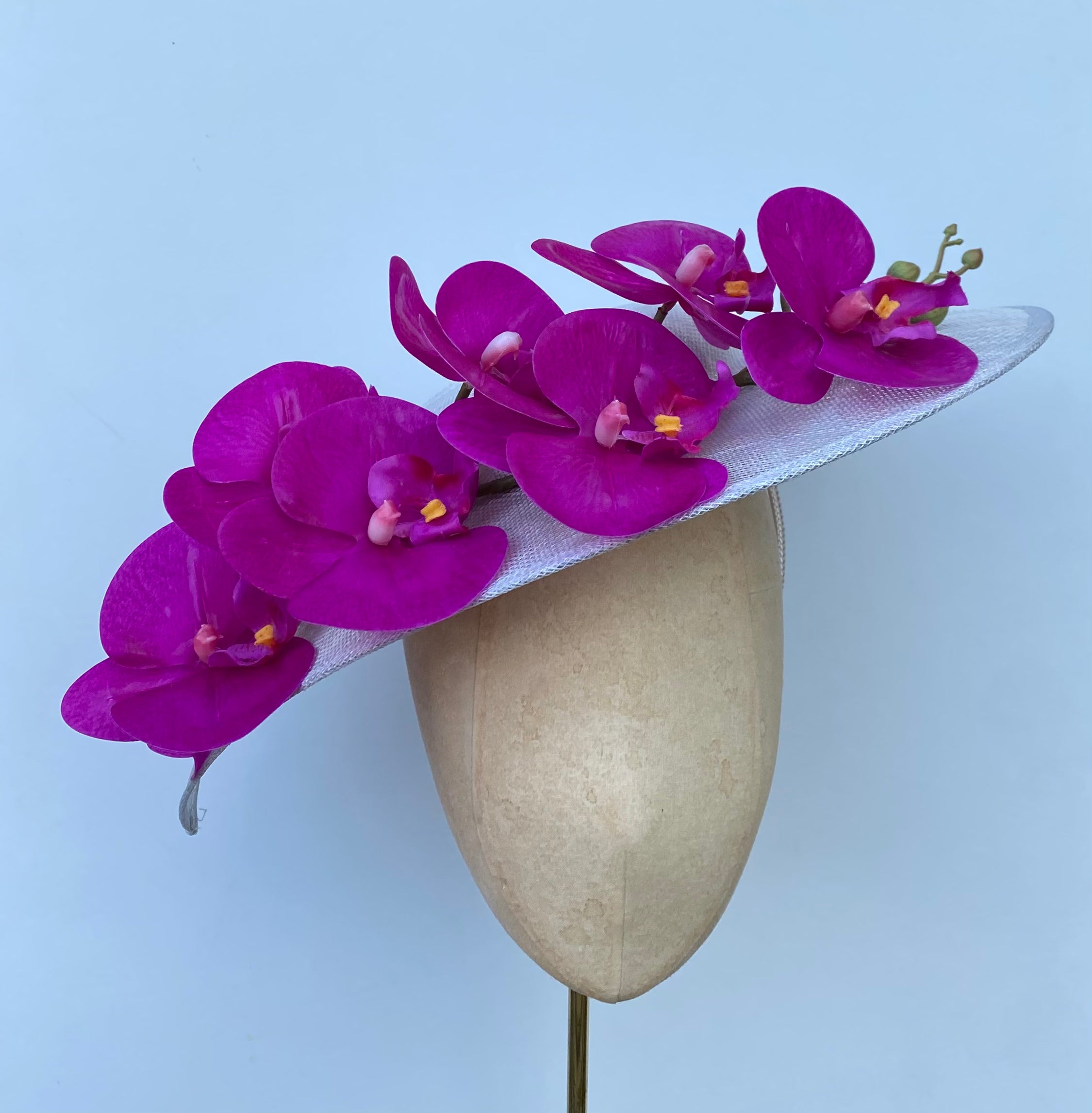 Fuchsia Orchid