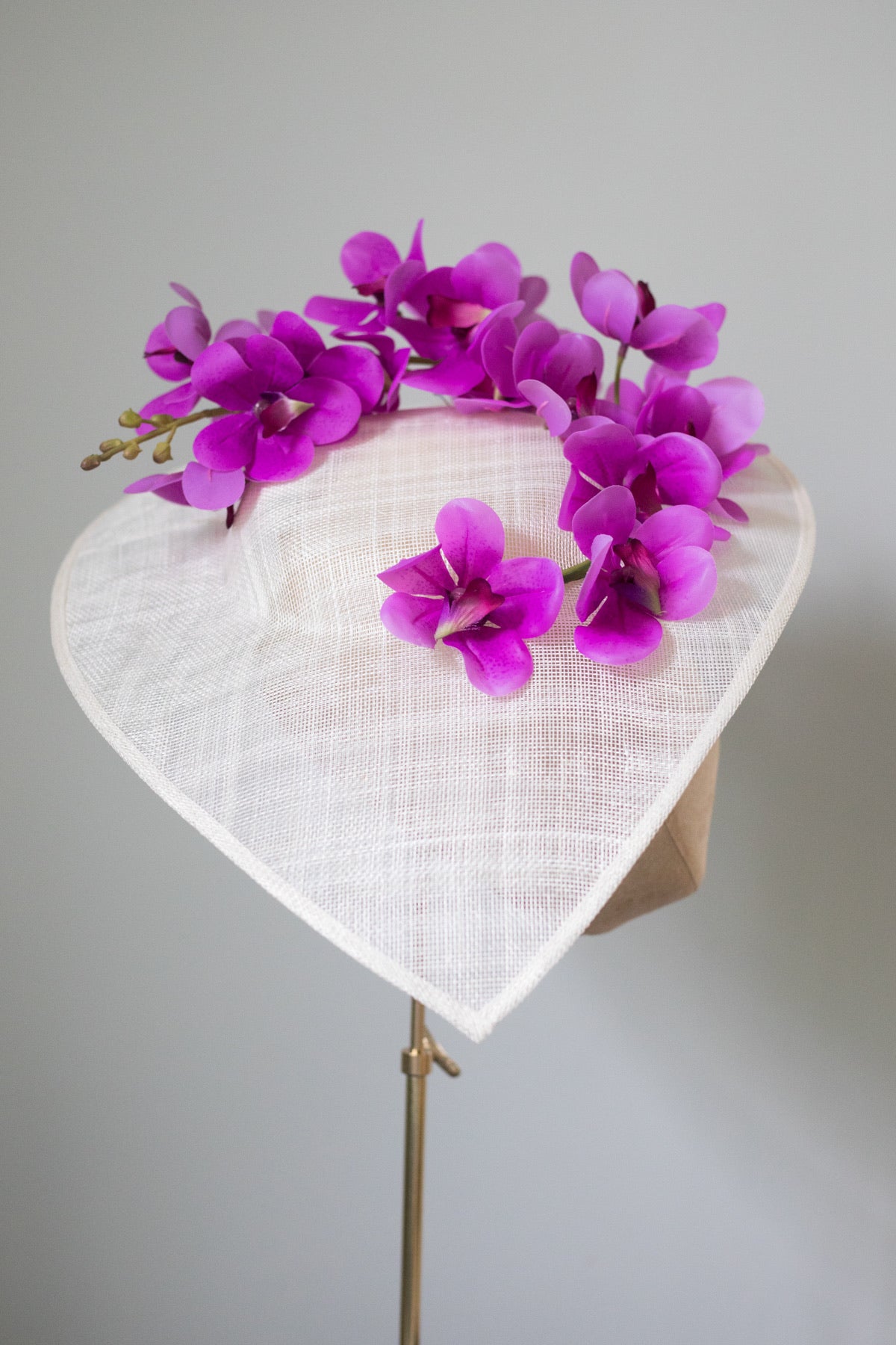 Ascot Orchid
