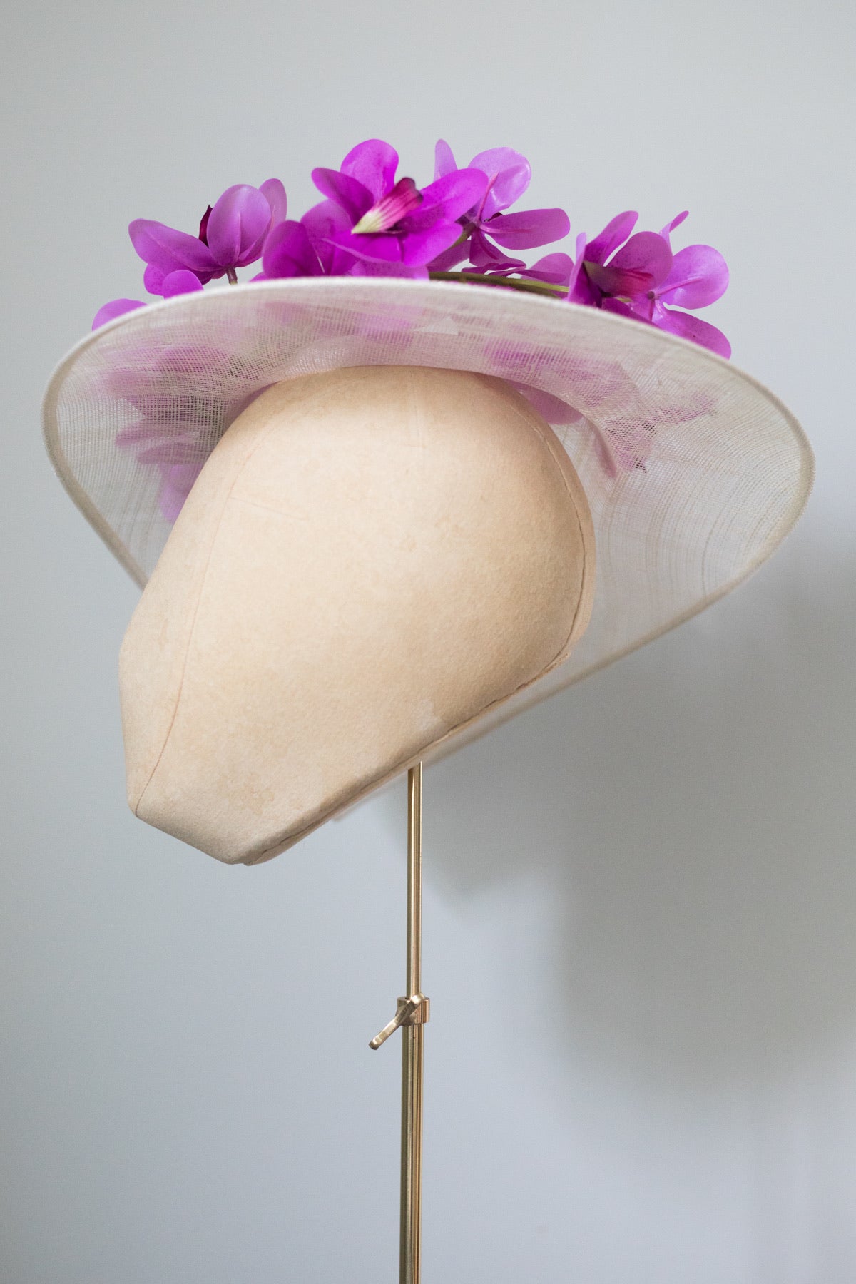 Ascot Orchid