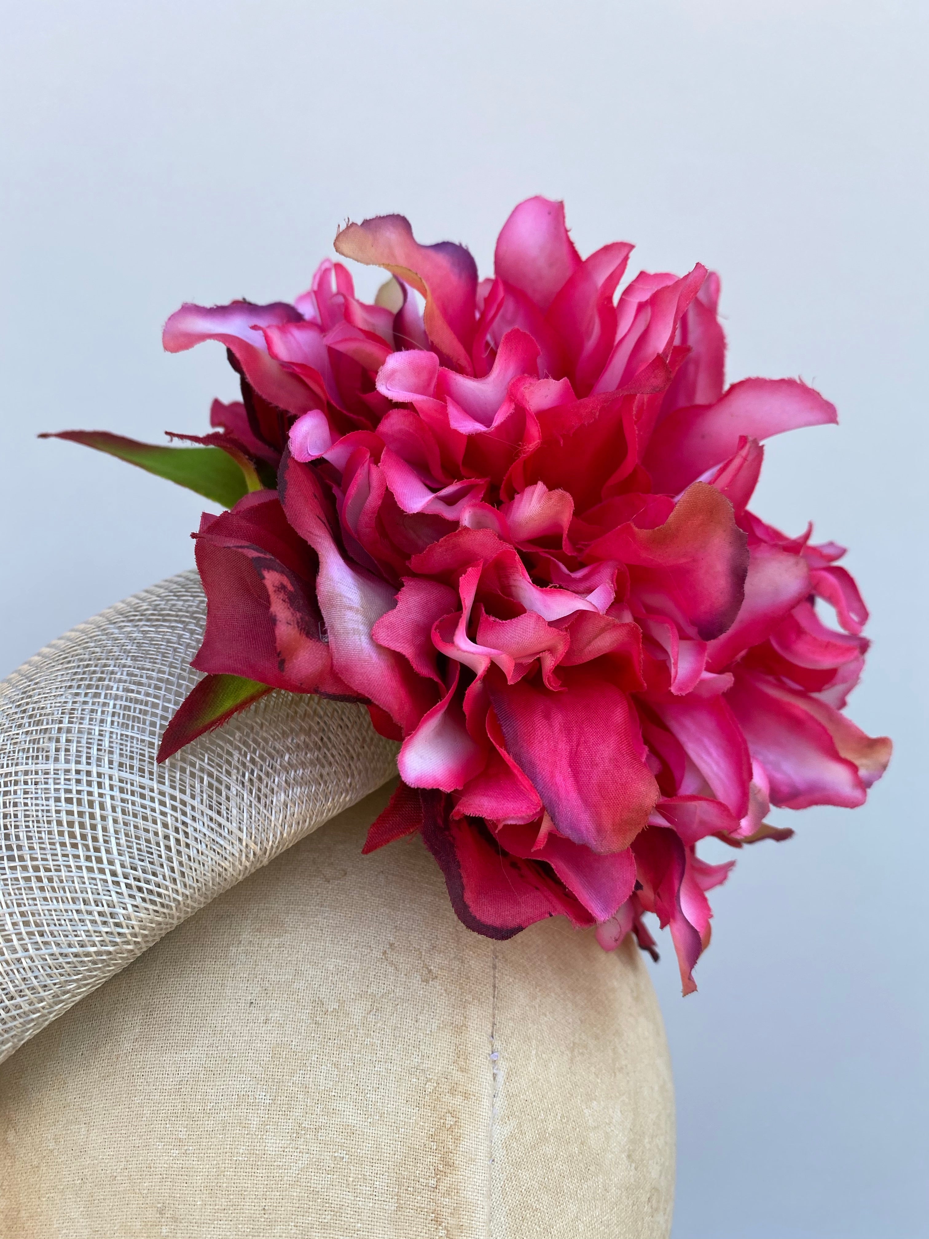 Dahlia Pom