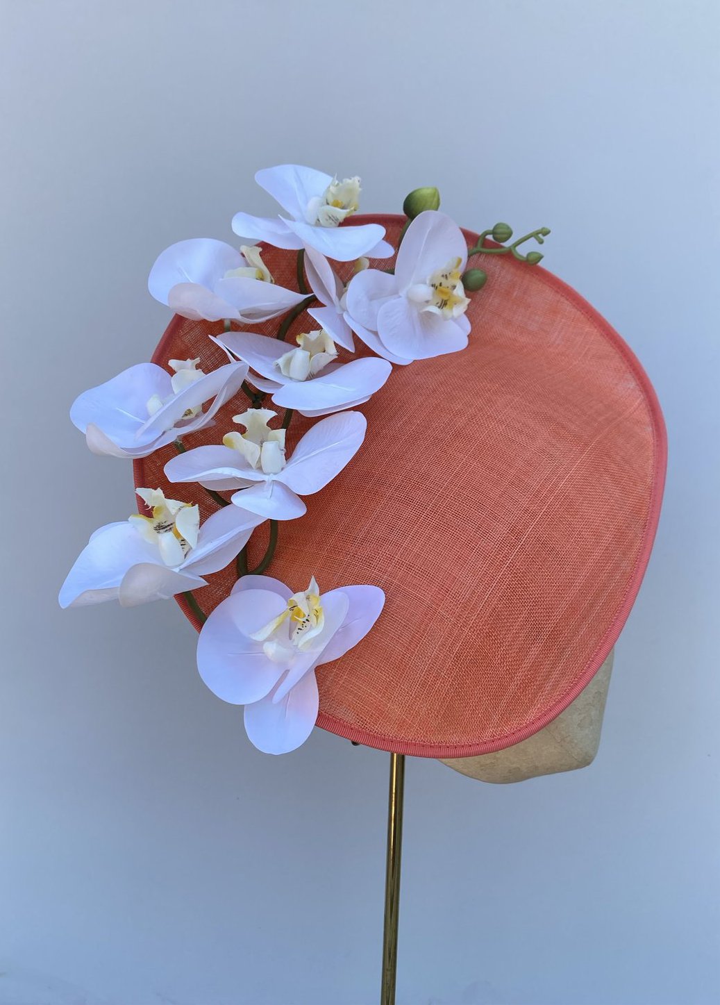 Sorbet Orchid