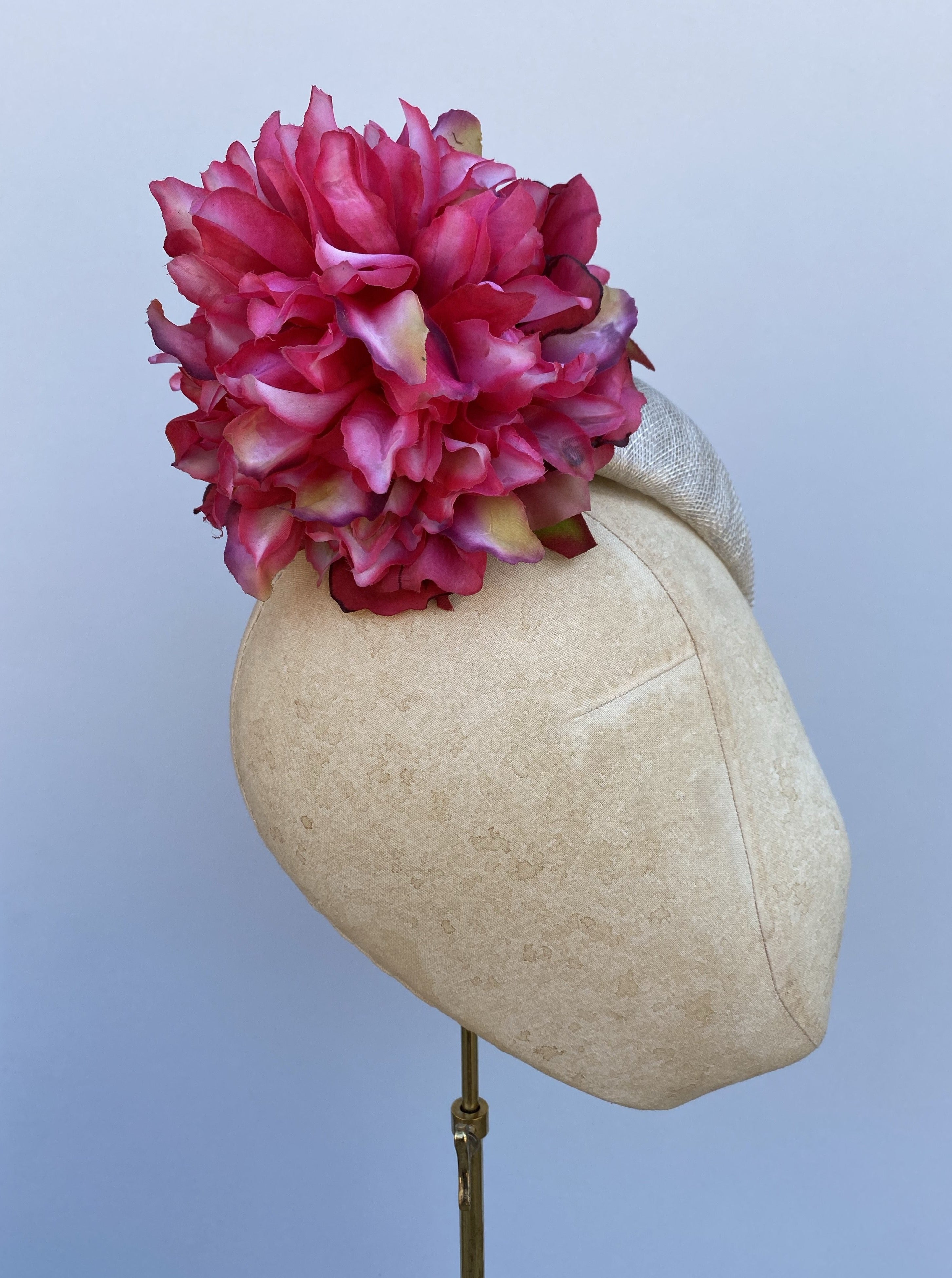 Dahlia Pom