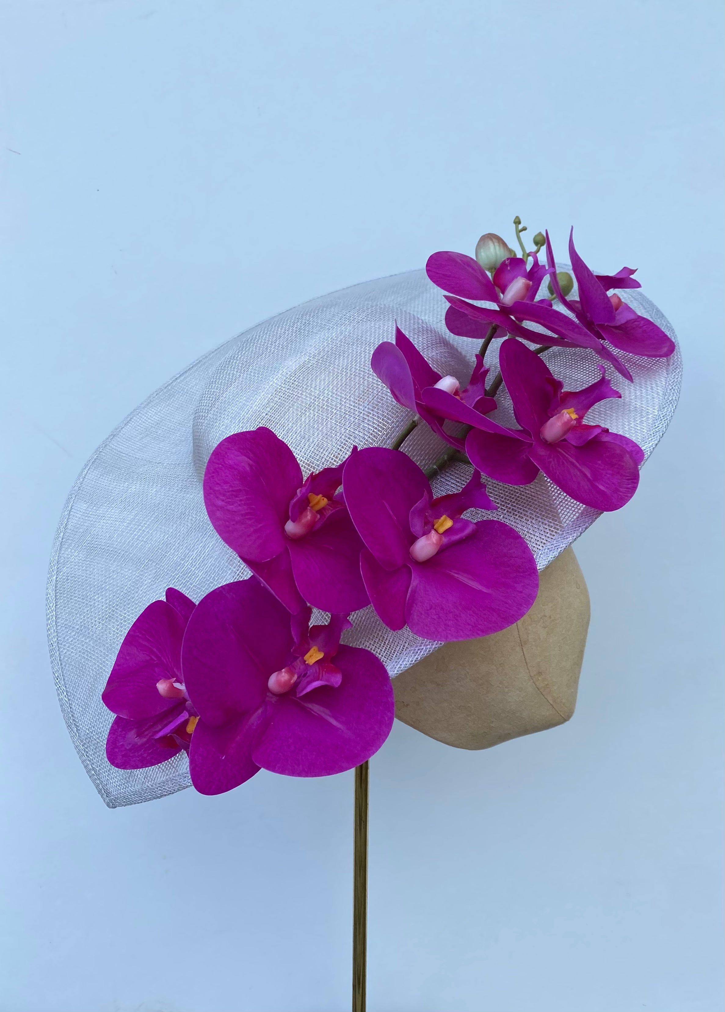 Fuchsia Orchid