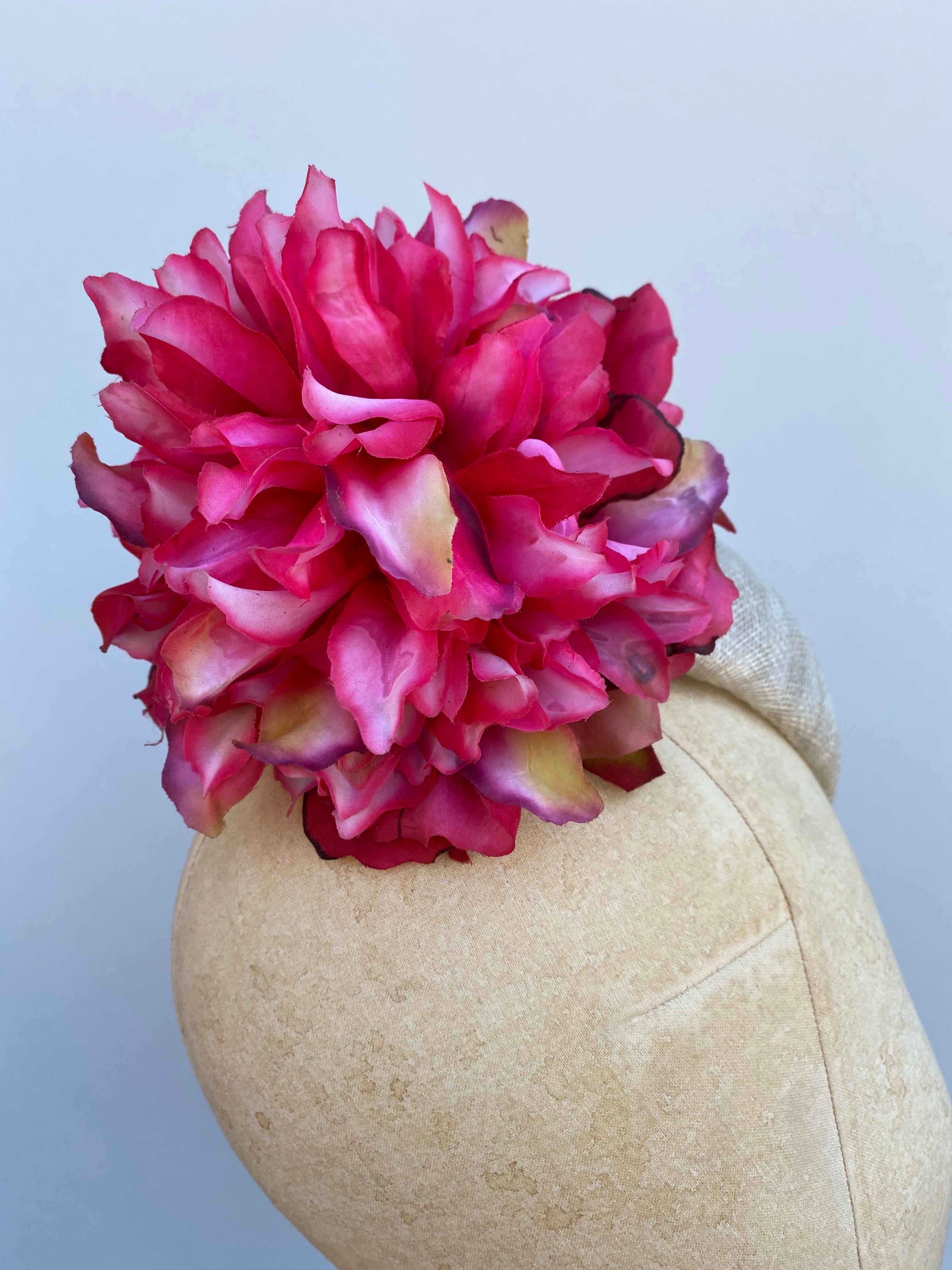 Dahlia Pom