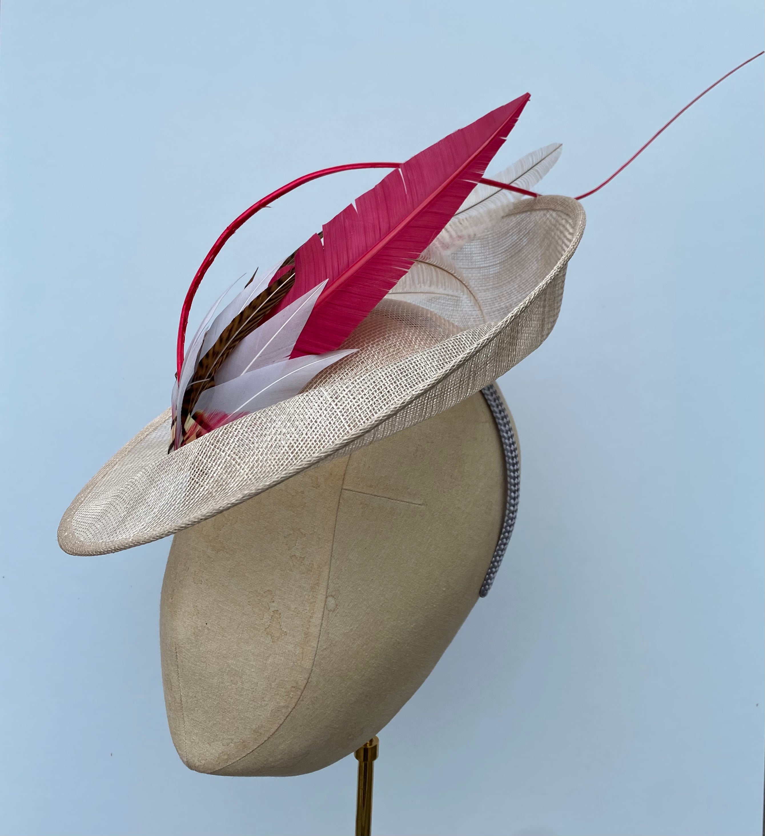 Pink Feathered Disk
