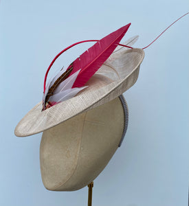 Pink Feathered Disk