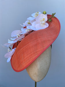 Sorbet Orchid