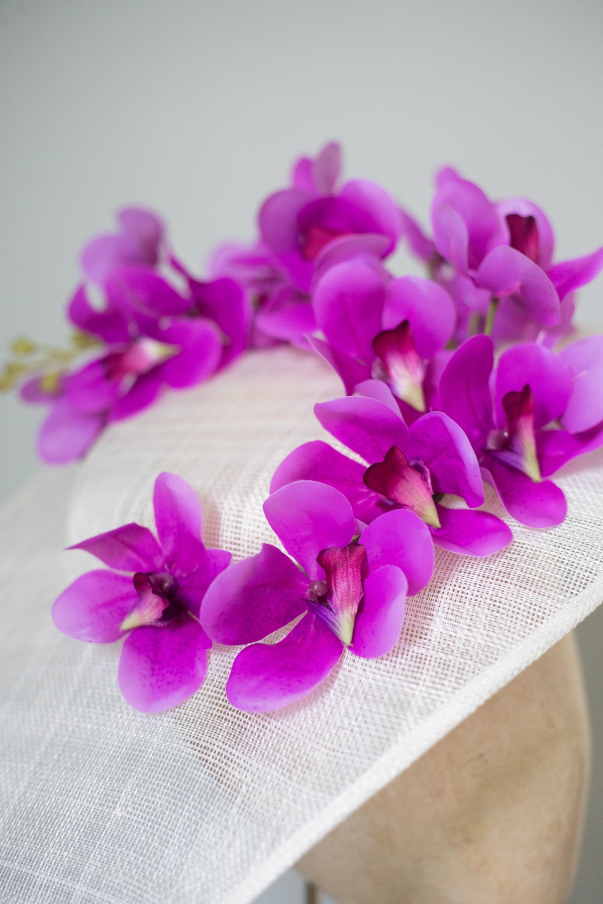 Ascot Orchid