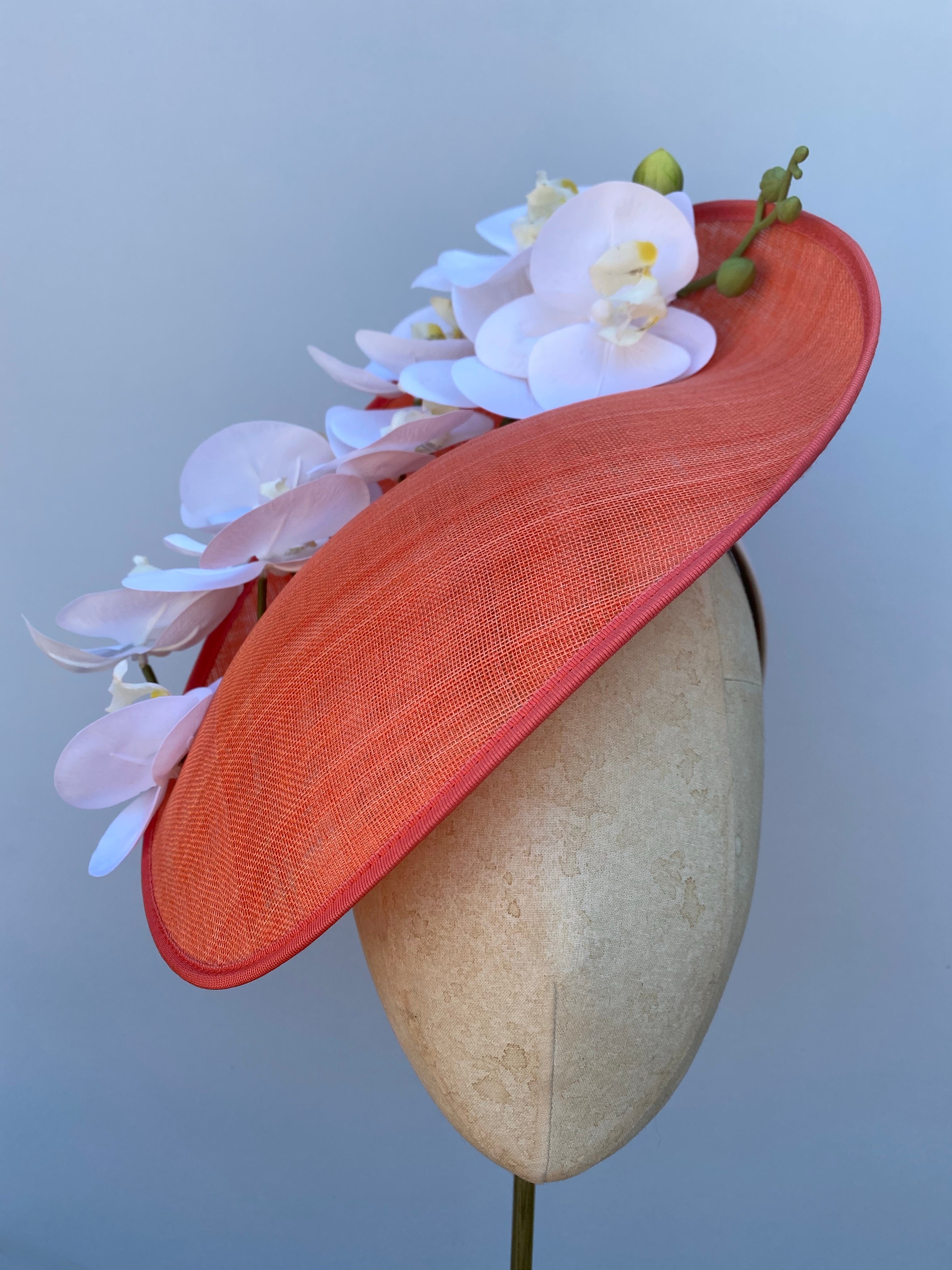 Sorbet Orchid