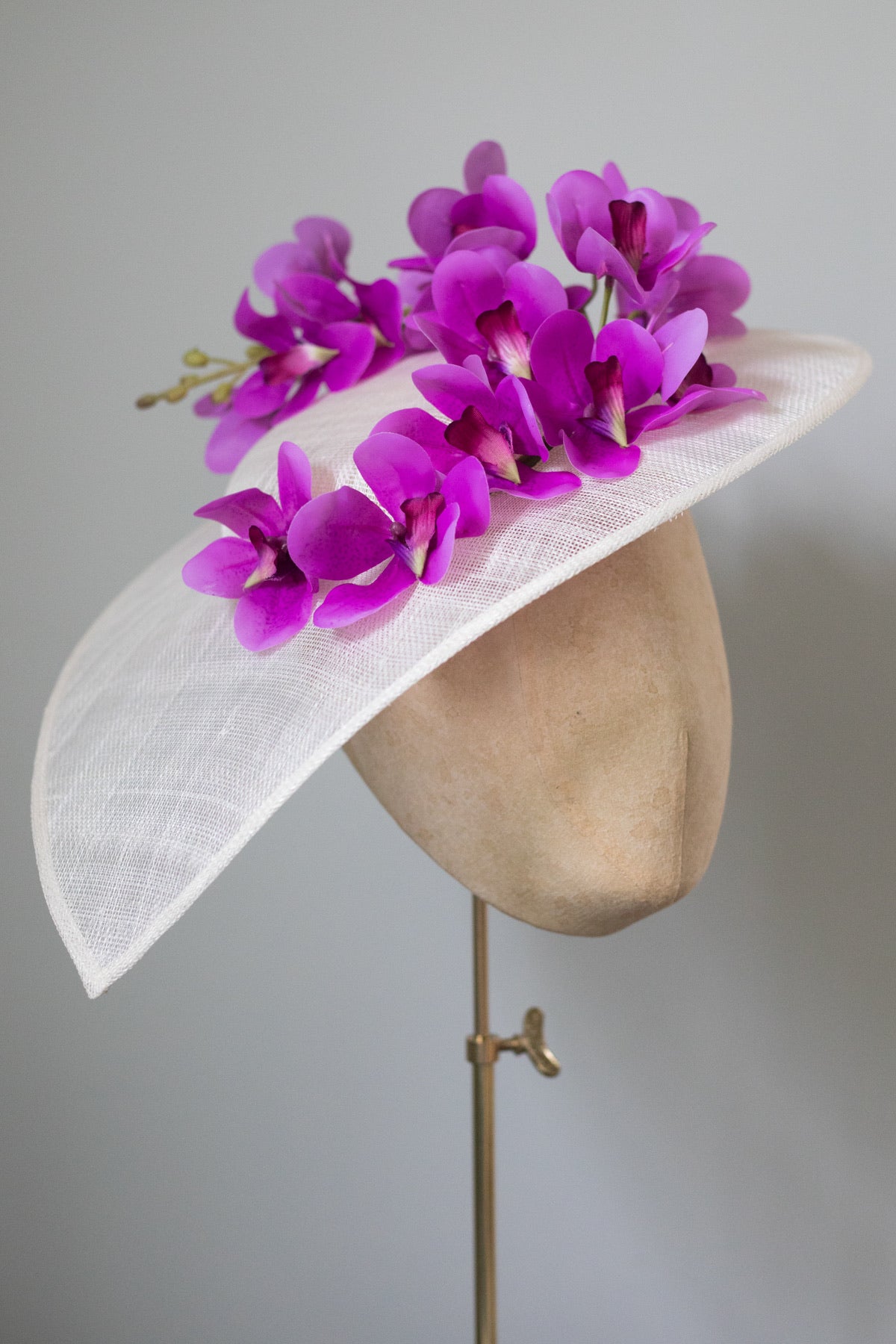 Ascot Orchid