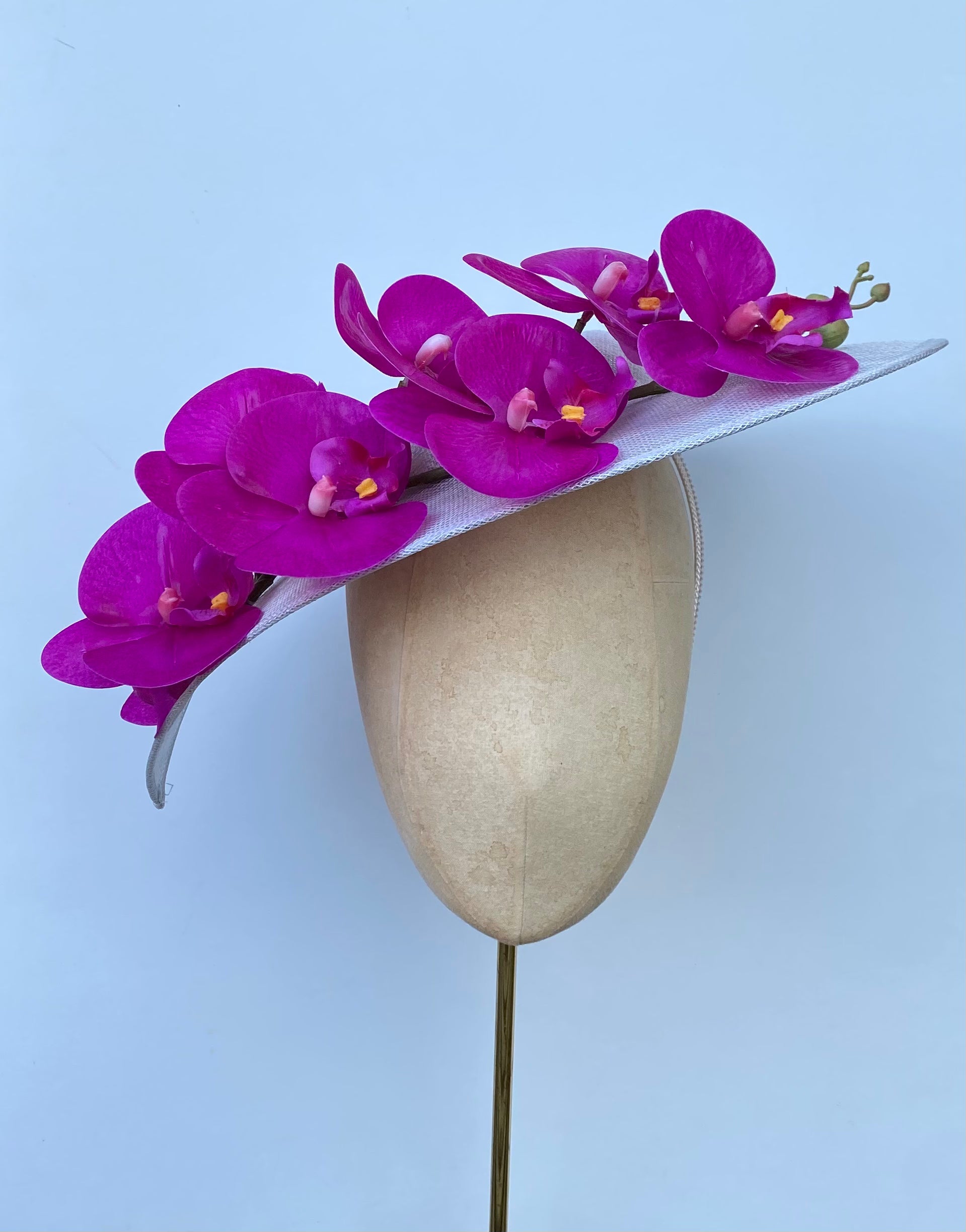 Fuchsia Orchid